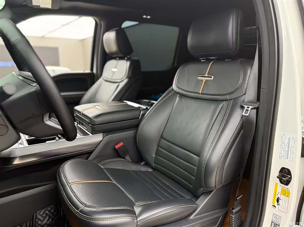 Ford F-150, 2022 все фото