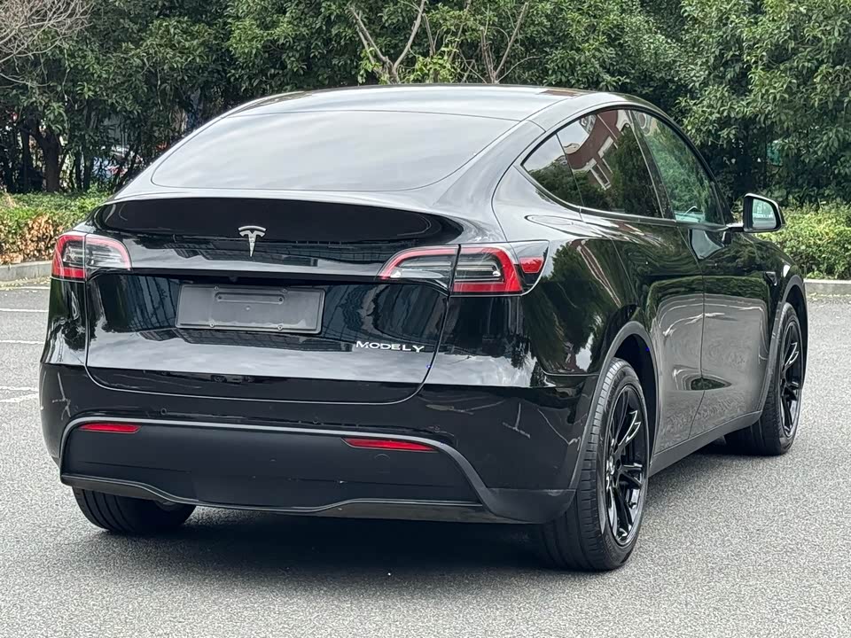 Tesla Model Y Tesla Model Y