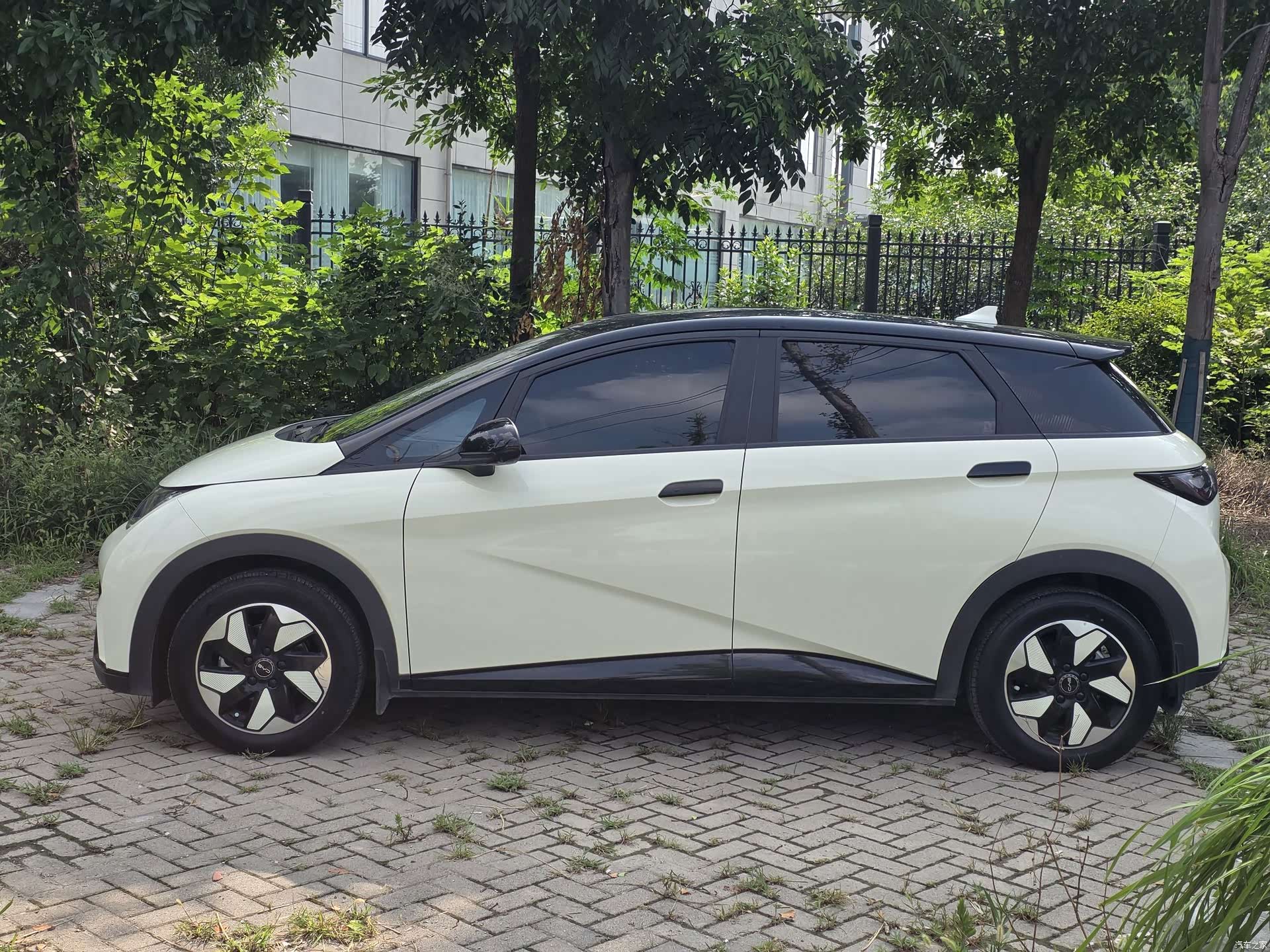 BYD Dolphin, 2025 3