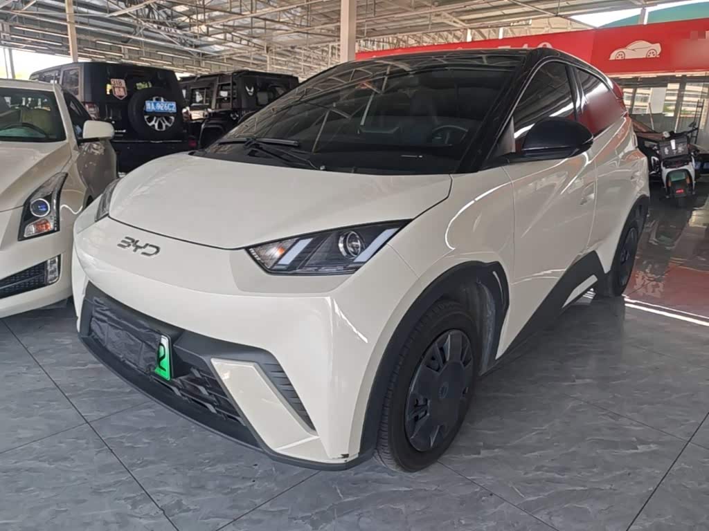BYD Seagull