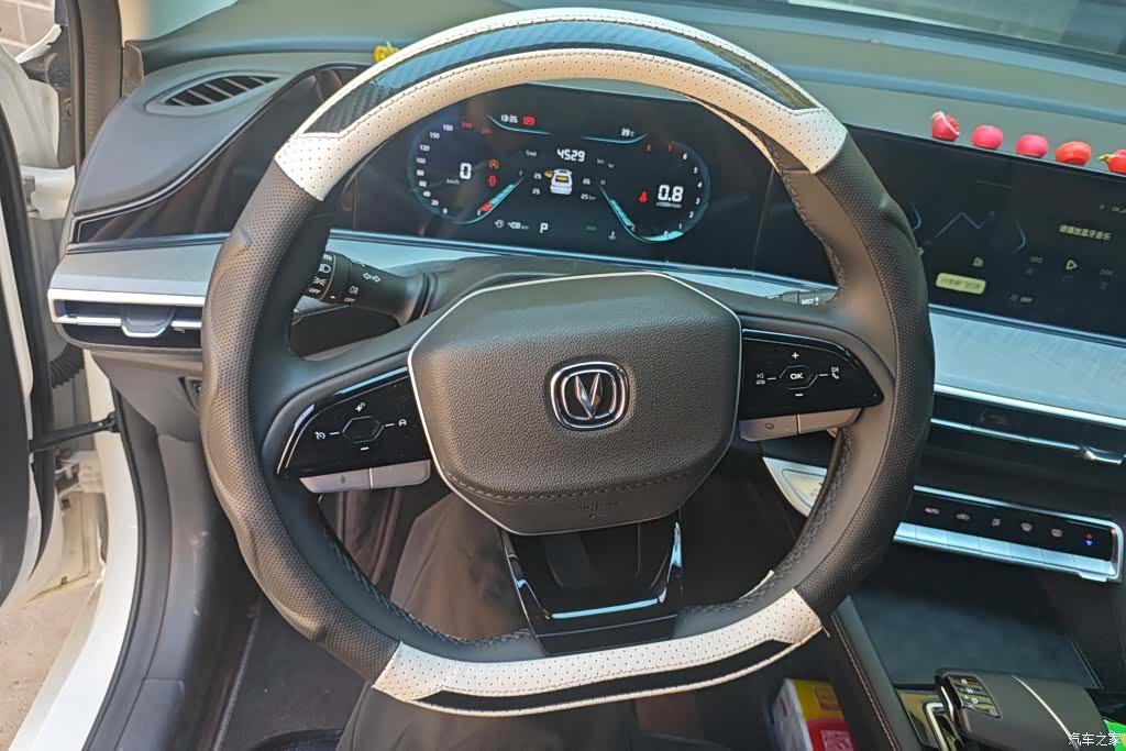 Changan Eado, 2025 15