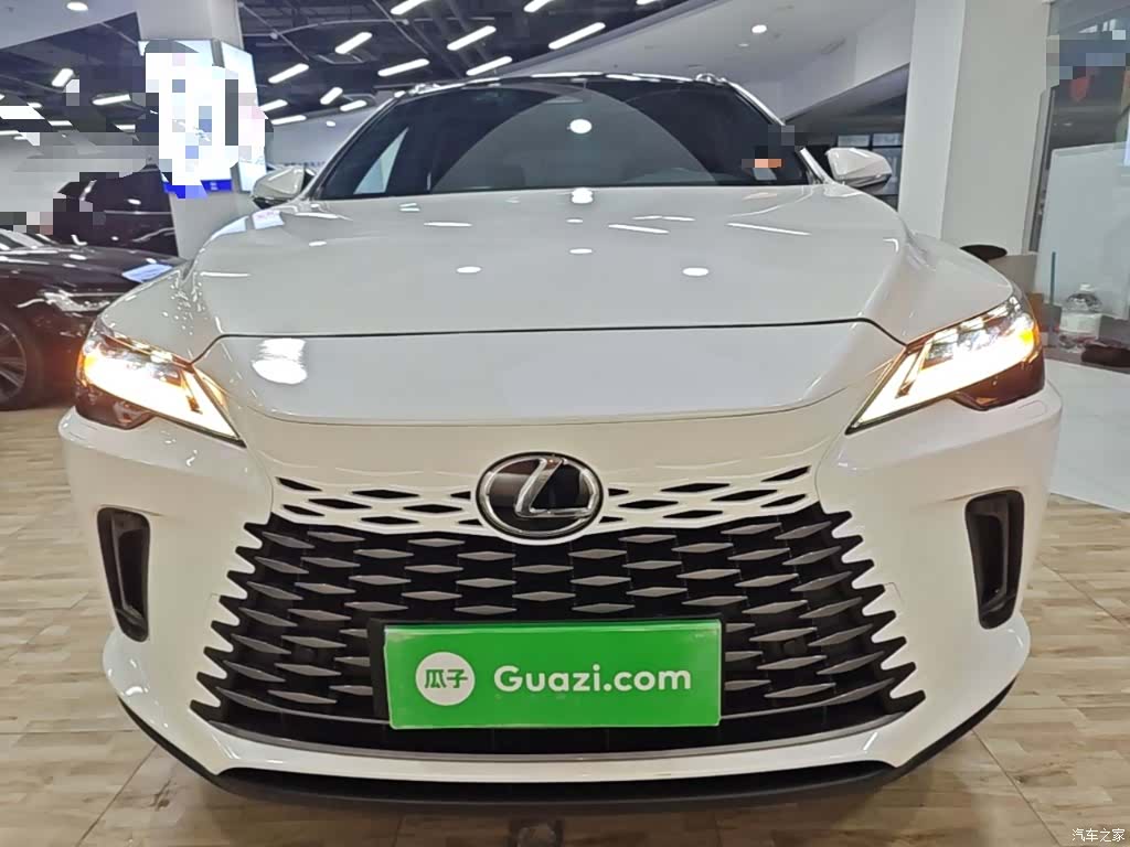 Lexus RX, 2024 3