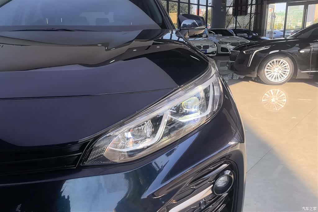 Toyota Wildlander, 2023 все фото
