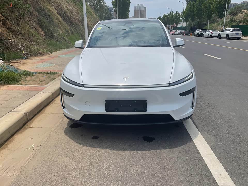 Tesla Model Y Tesla Model Y
