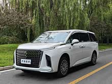 ��ͨG90 2024�� 2.0T ����������