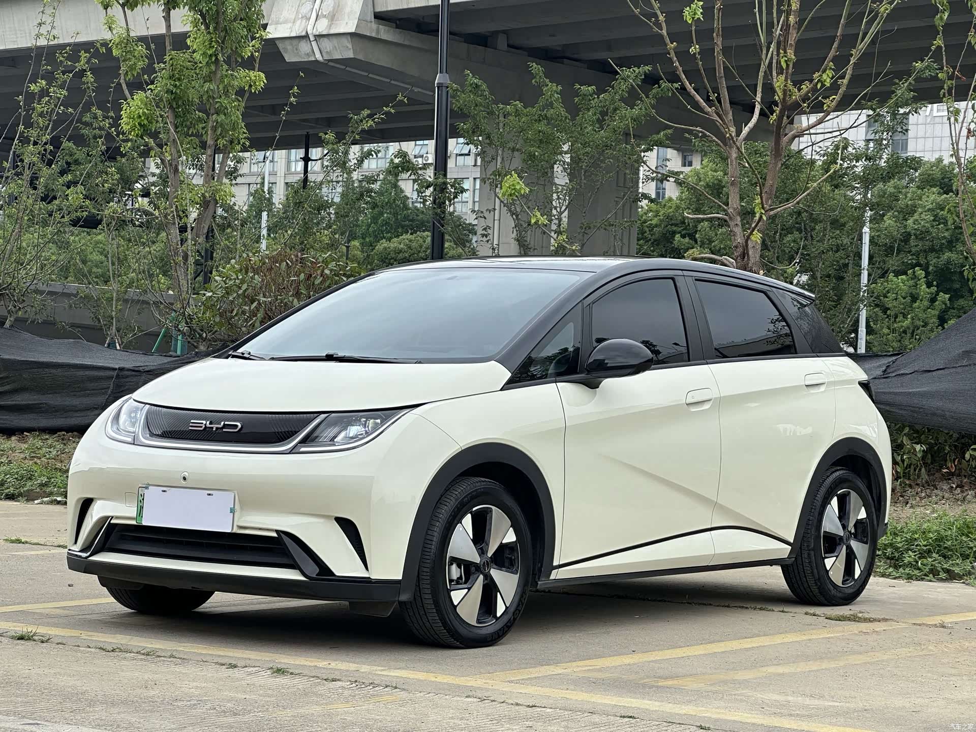 BYD Dolphin, 2023 1