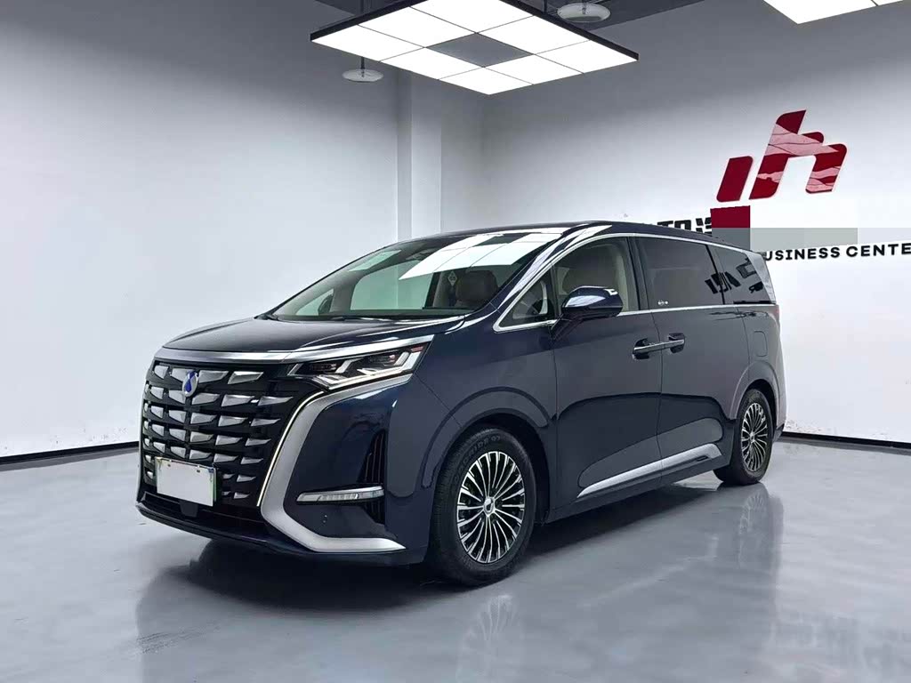 Denza D9