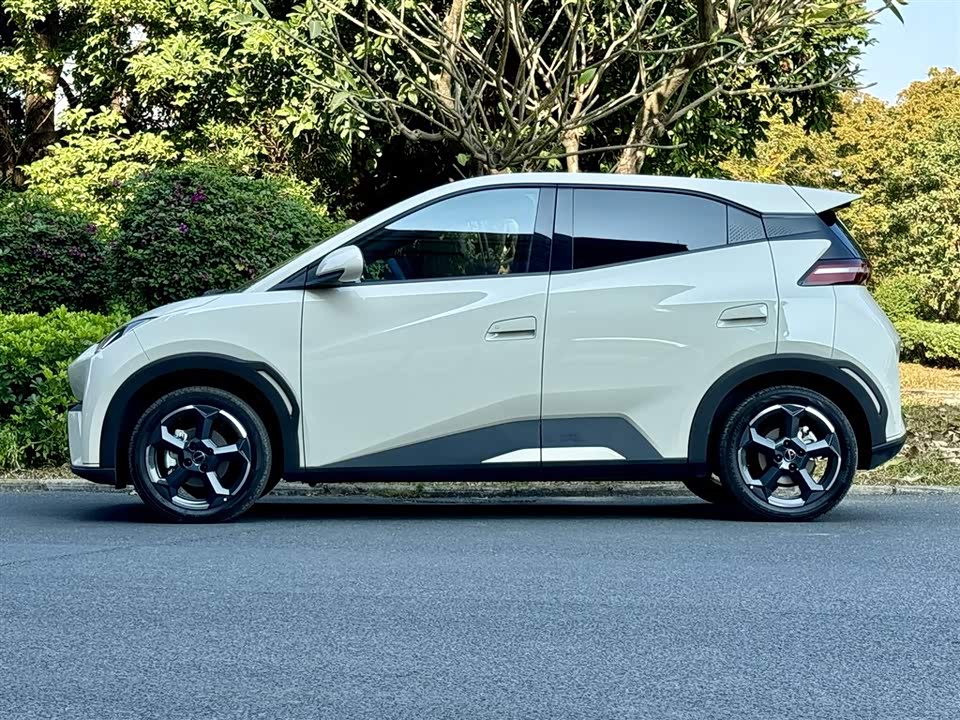 BYD Seagull