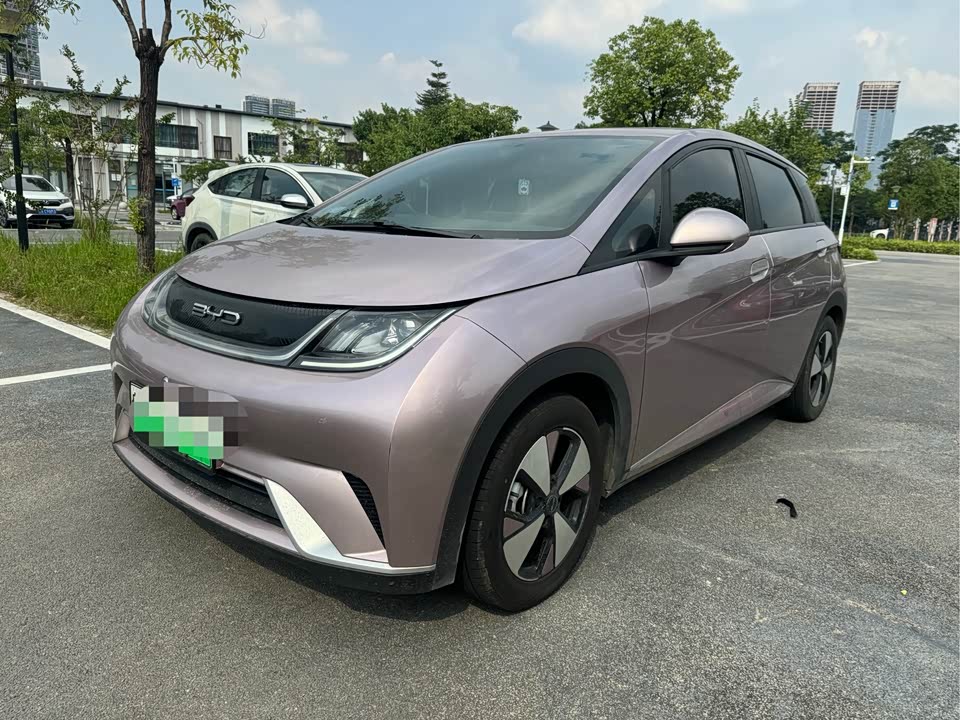 BYD dolphin
