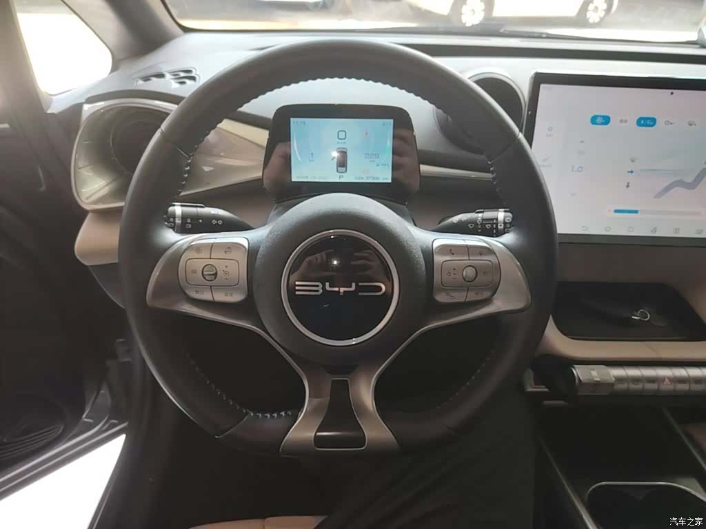 BYD Dolphin, 2023 11
