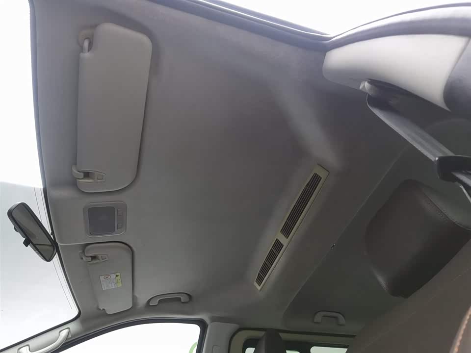 Forthing Lingzhi PLUS