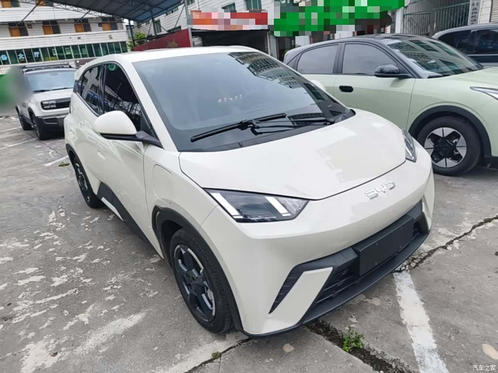 BYD Seagull, 2024 4