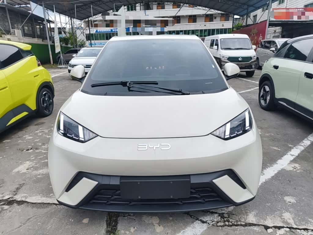 BYD Seagull, 2024 3