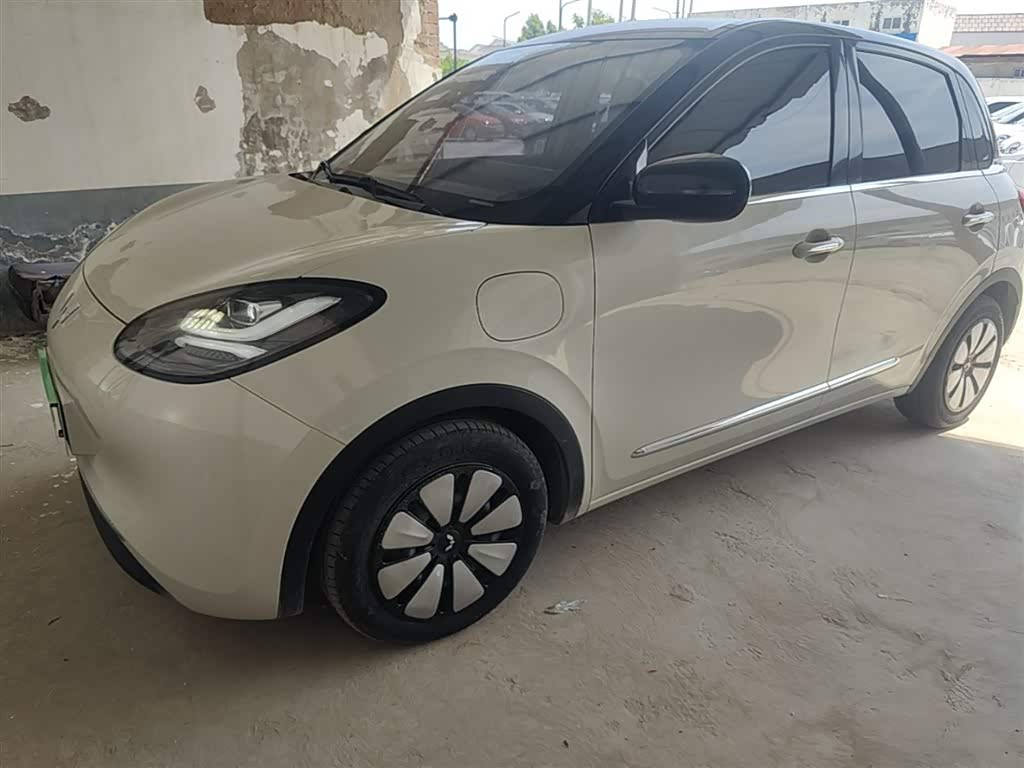 Wuling Binguo