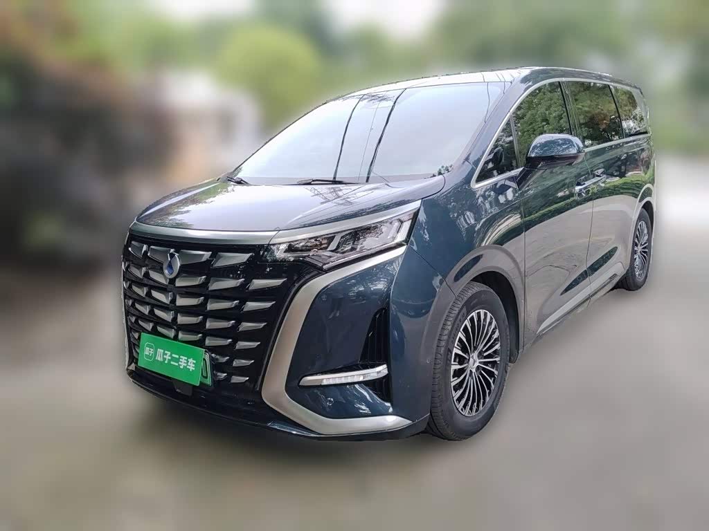 Denza D9