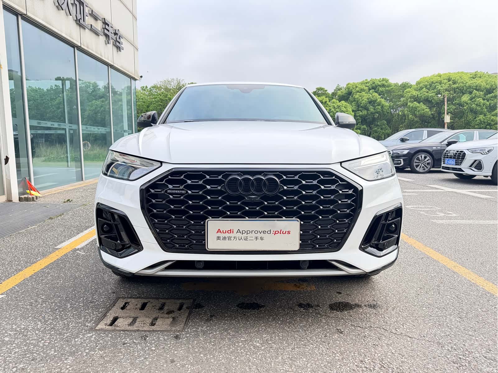 Audi Q5L, 2024 2