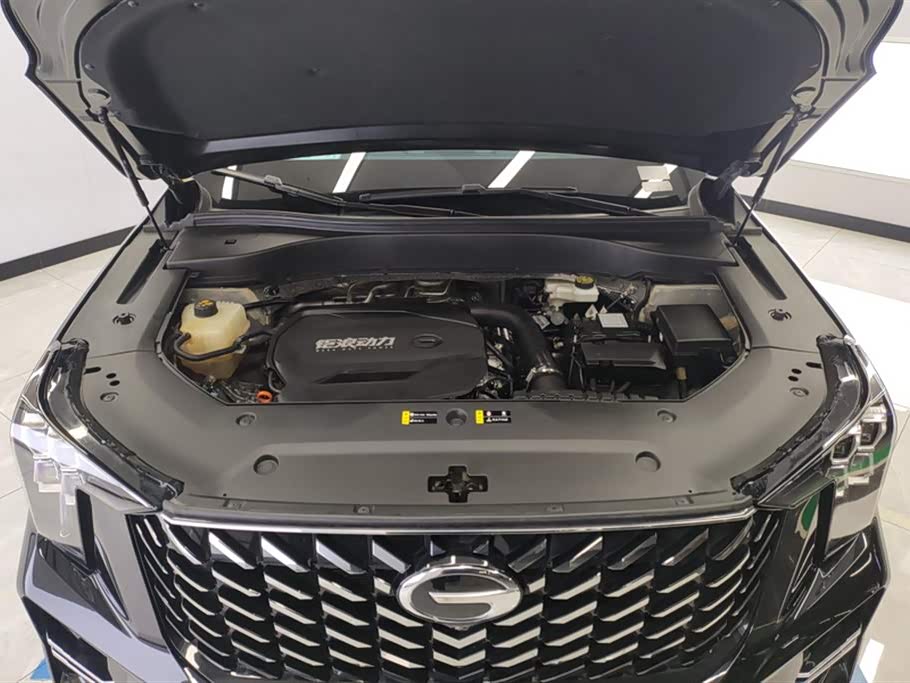 Trumpchi Trumpchi GS8