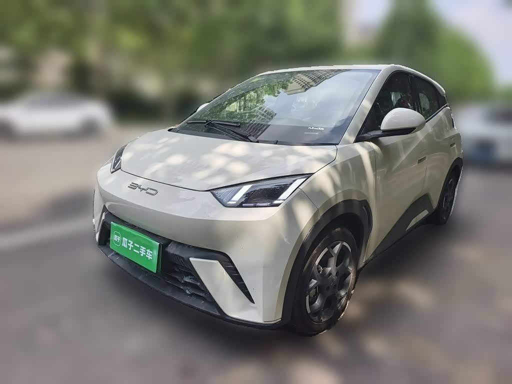 BYD Seagull
