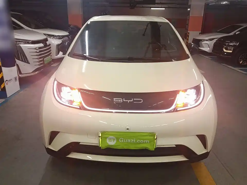 BYD dolphin