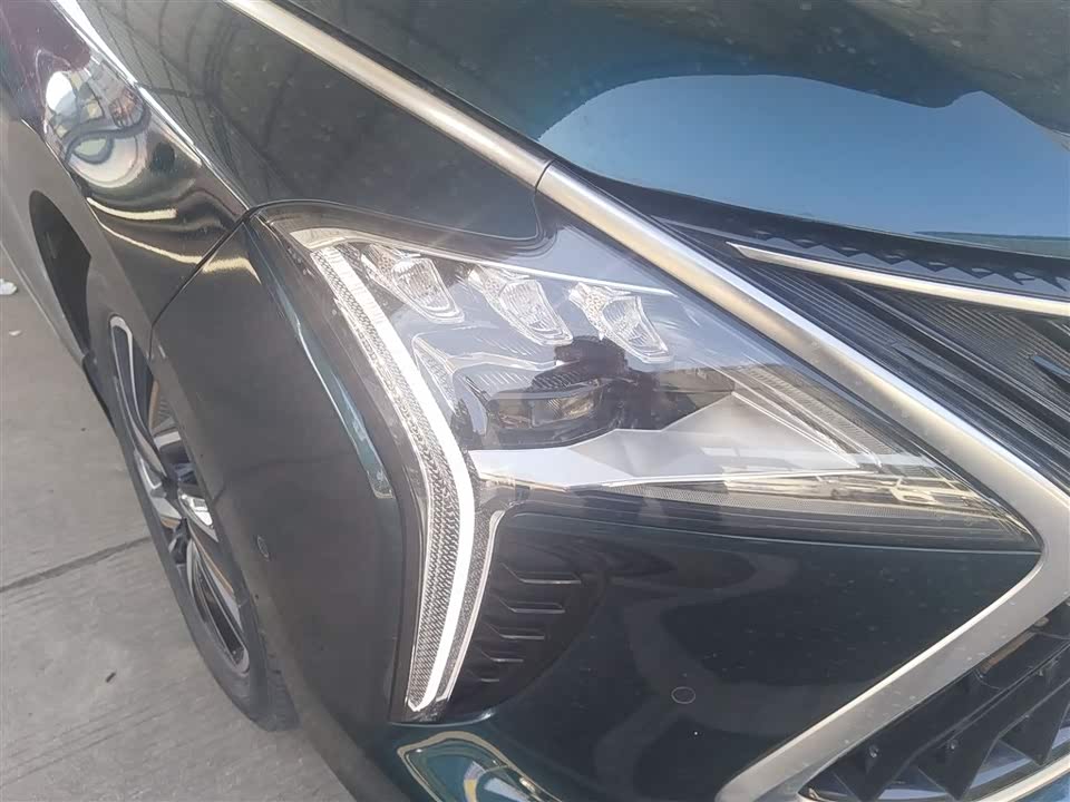 Forthing Popular yachts