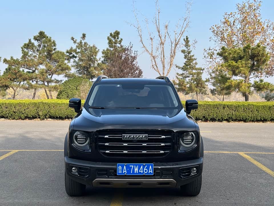 Haval Big dog