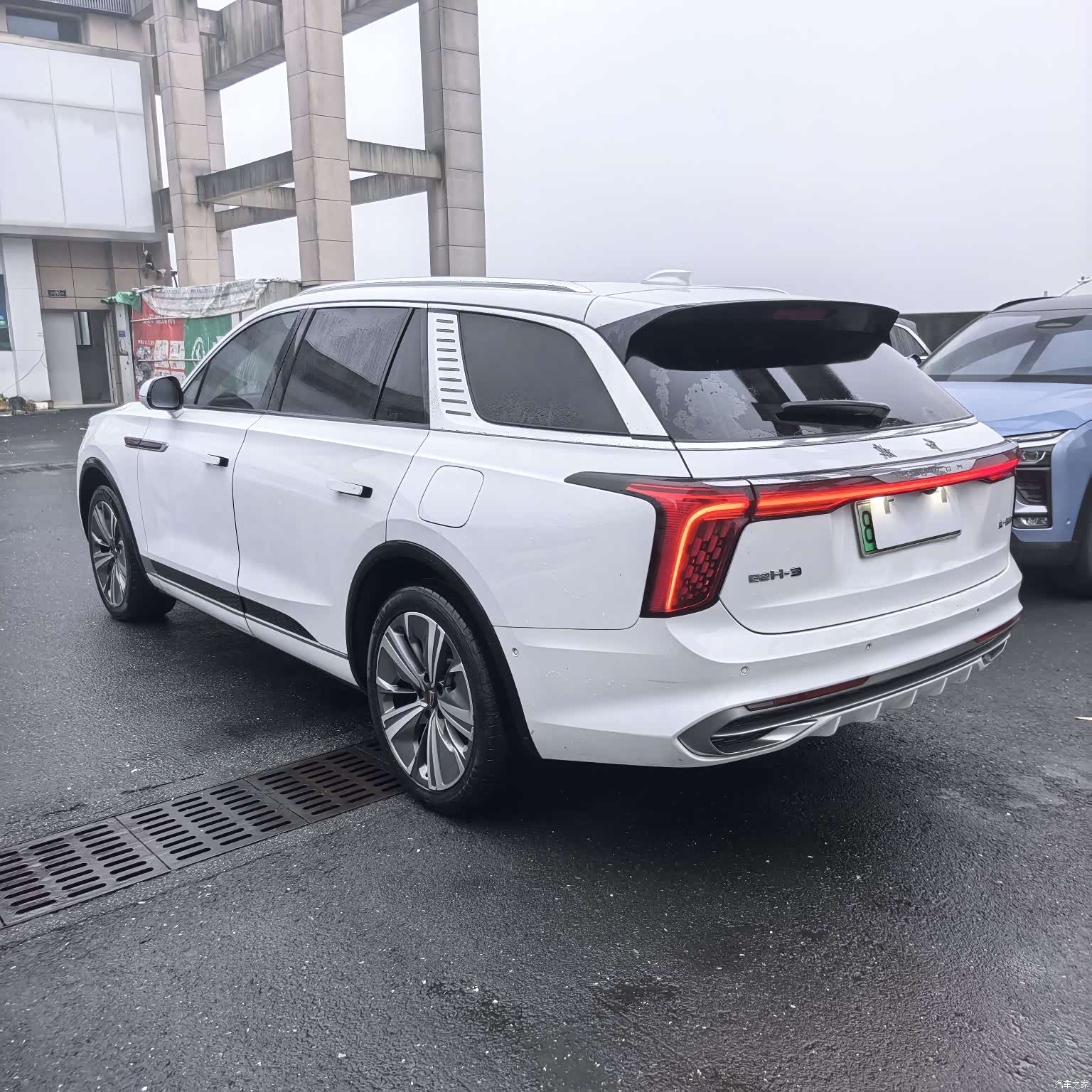 Hongqi E-HS9, 2021 17
