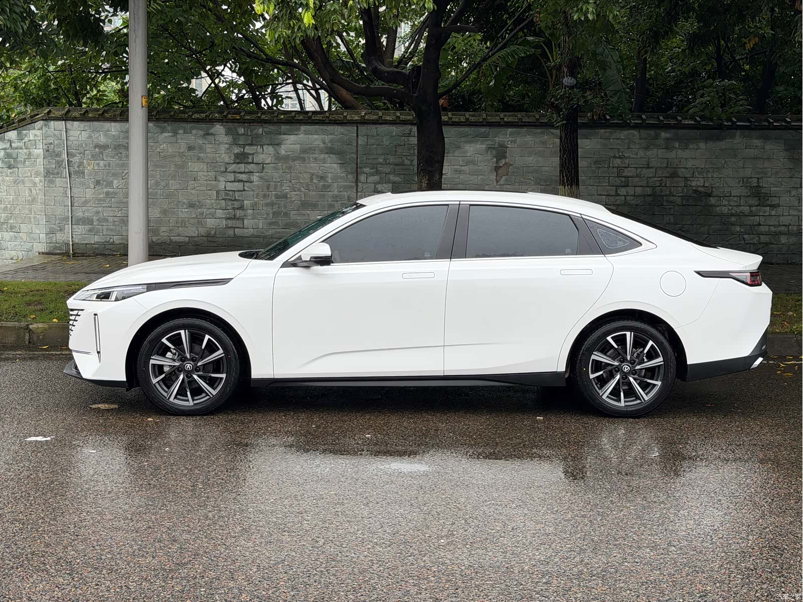 Changan Eado, 2024 2