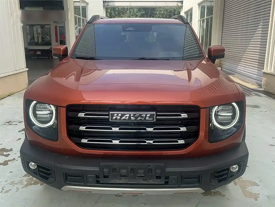 Haval Big dog
