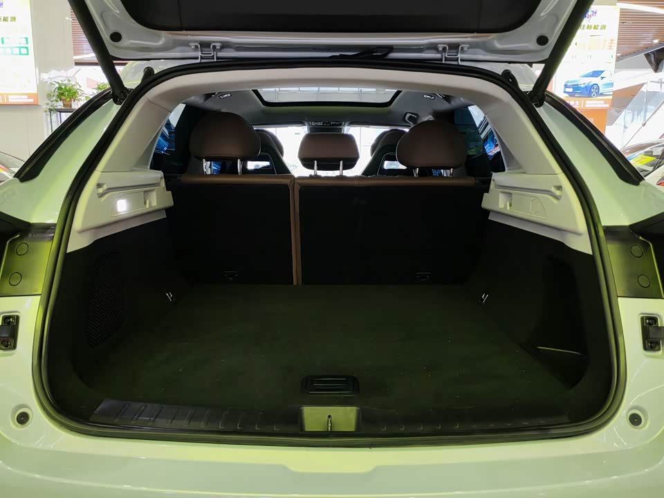 Leapmotor C11 Leapmotor C11