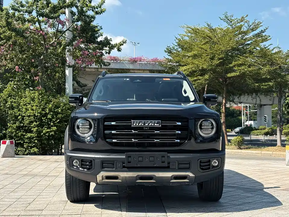 Haval Big dog