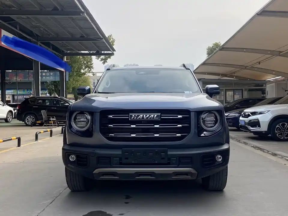 Haval Big dog