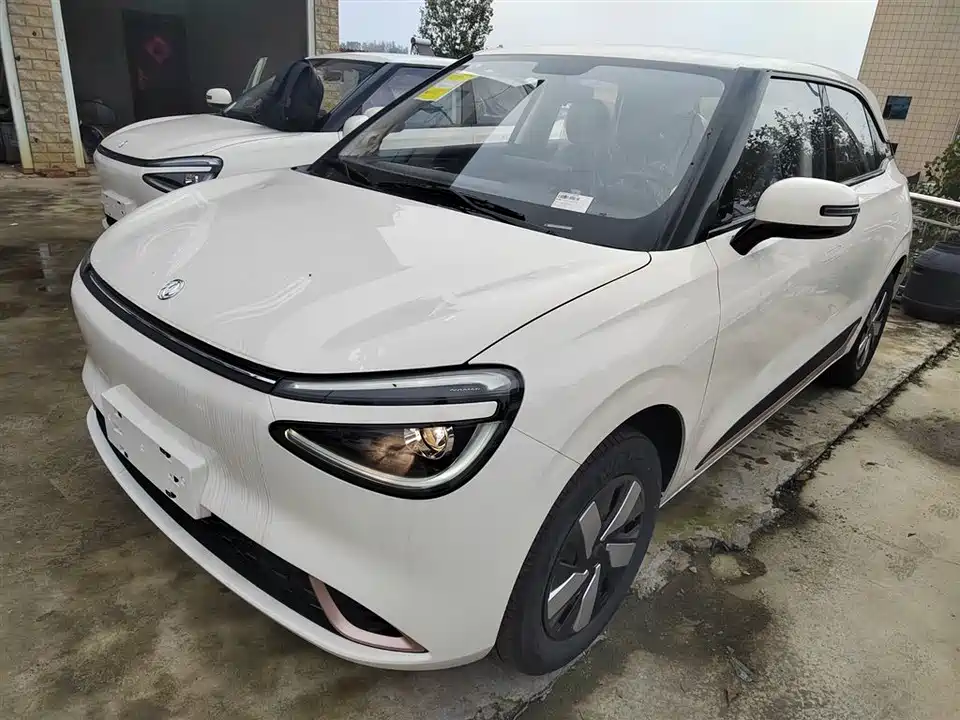 Dongfeng Nammi Nano 01