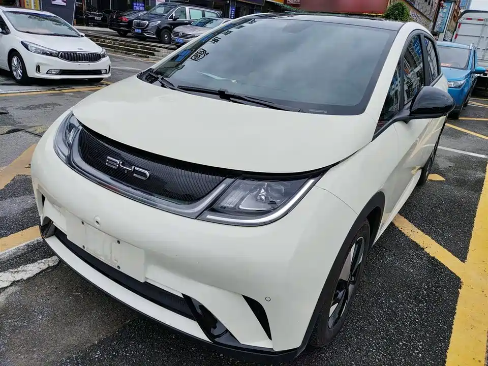 BYD dolphin