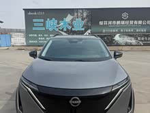 ARIYA����� 2022�� ���������ܶ����