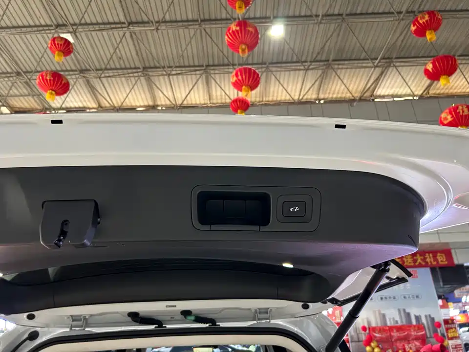 Trumpchi Trumpchi E9