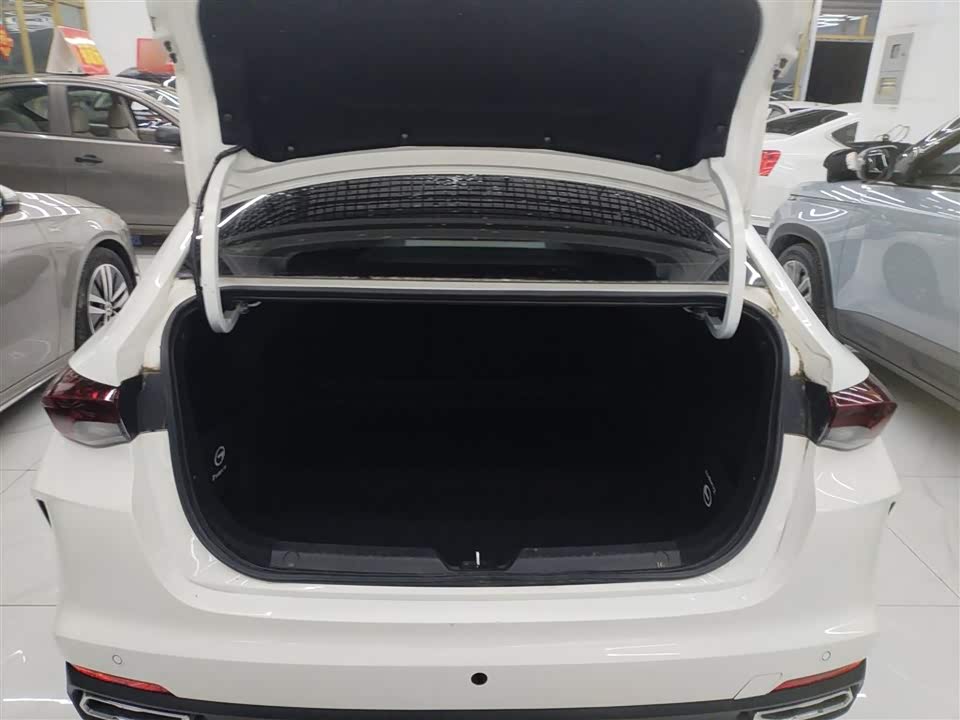 Trumpchi Shadow Leopard