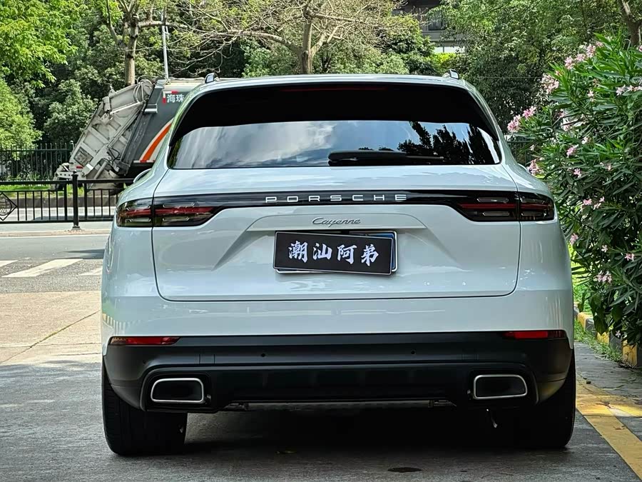 Porsche Cayenne 2020, фото 8
