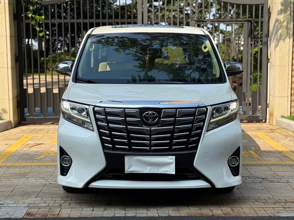 Toyota Elfa
