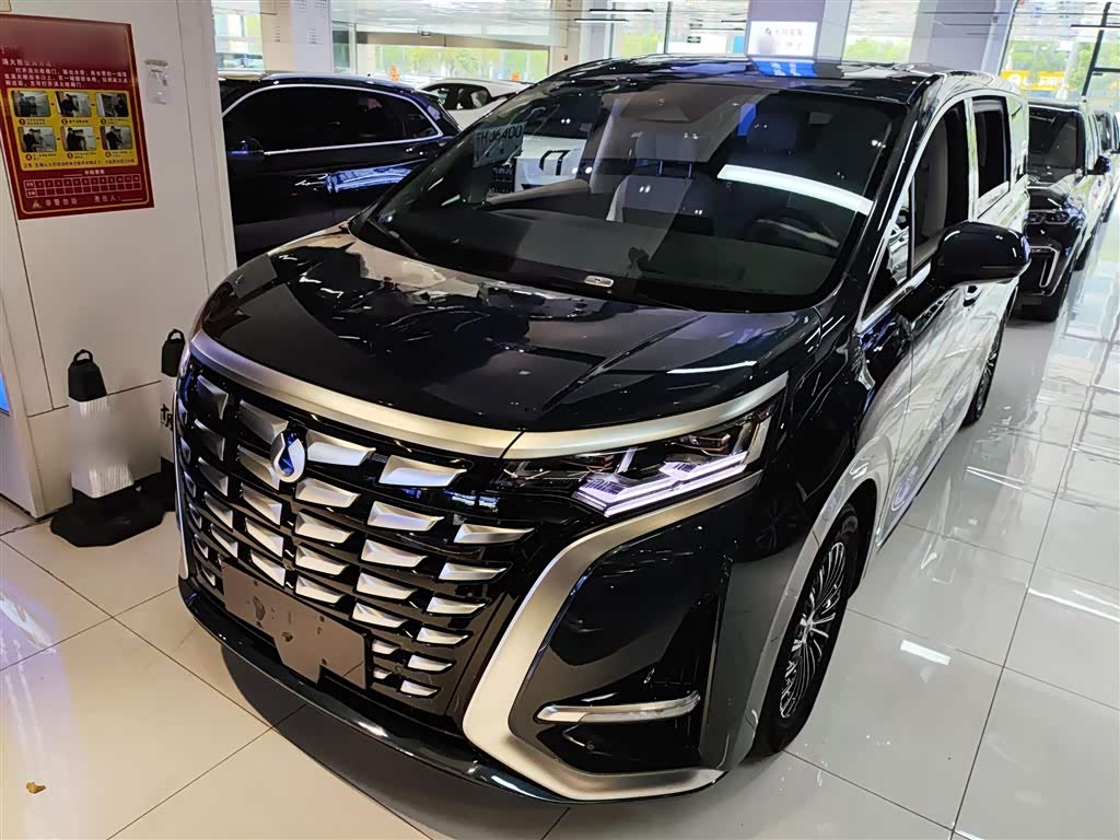 Denza D9