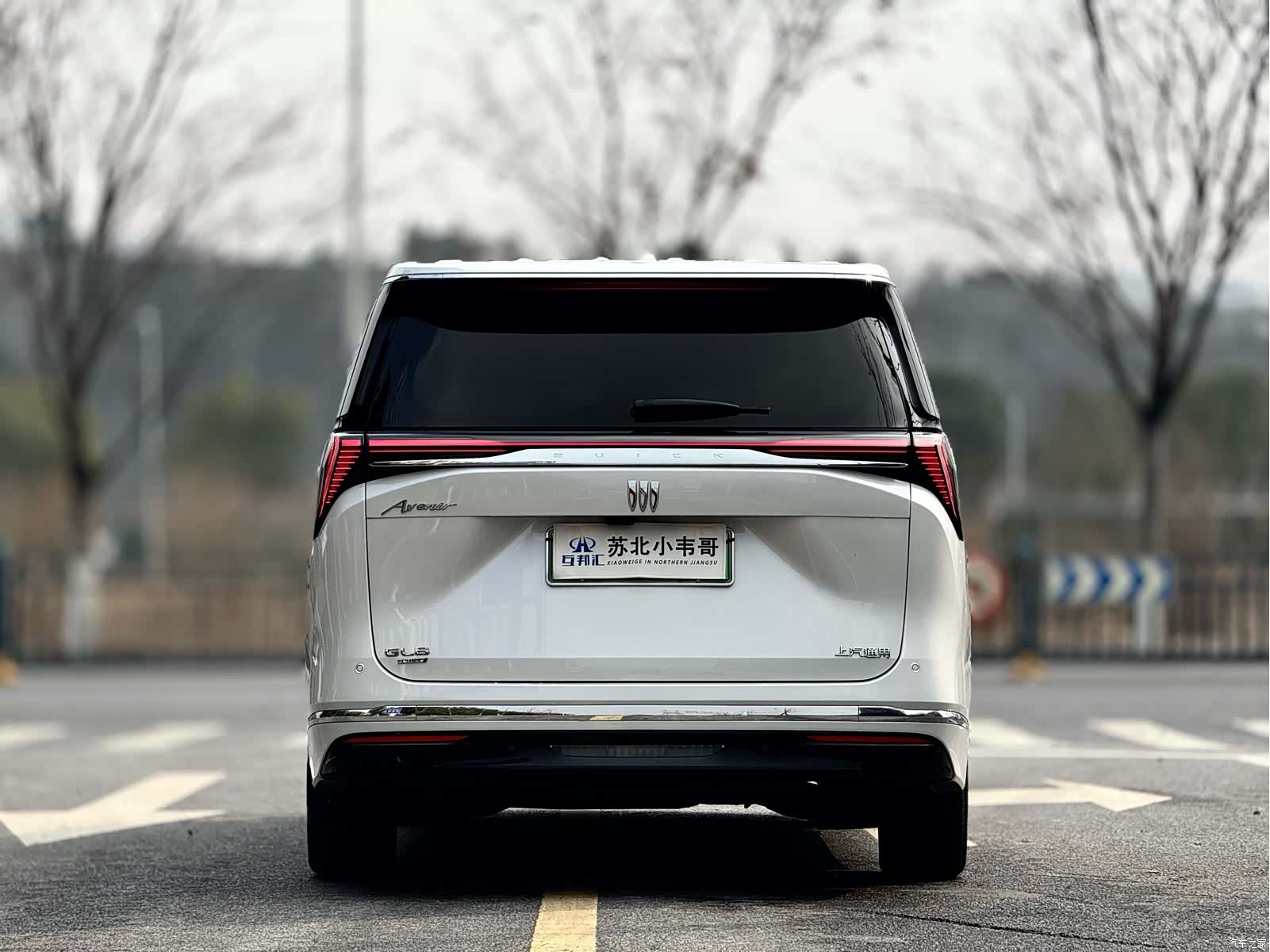 Buick GL8, 2024 все фото