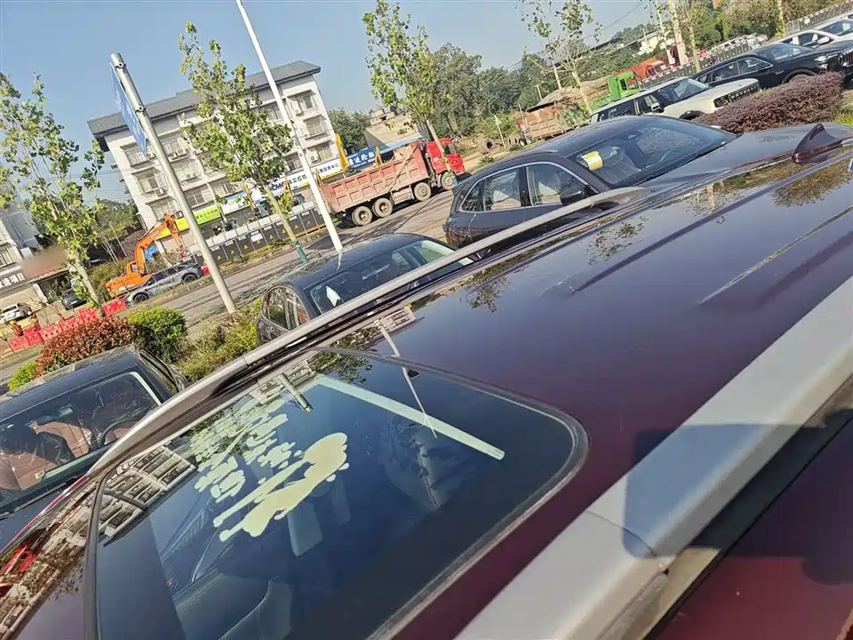 Leopaard Cheetah CS10