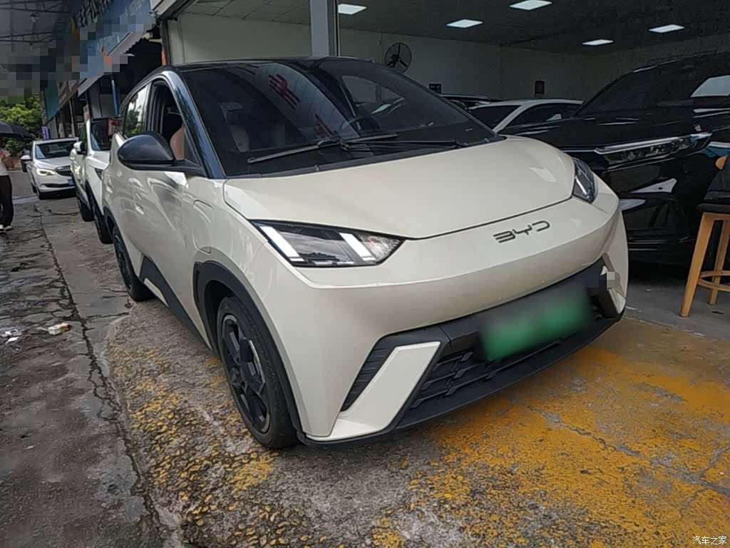 BYD Seagull, 2024 4
