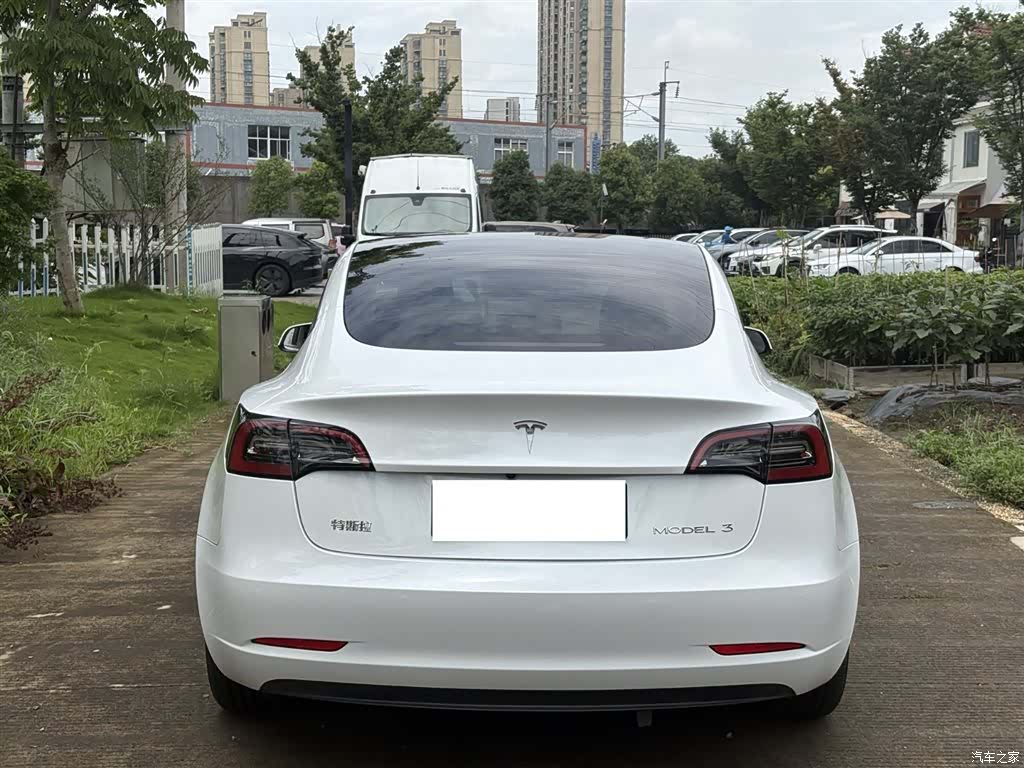 Tesla Model 3, 2021 11