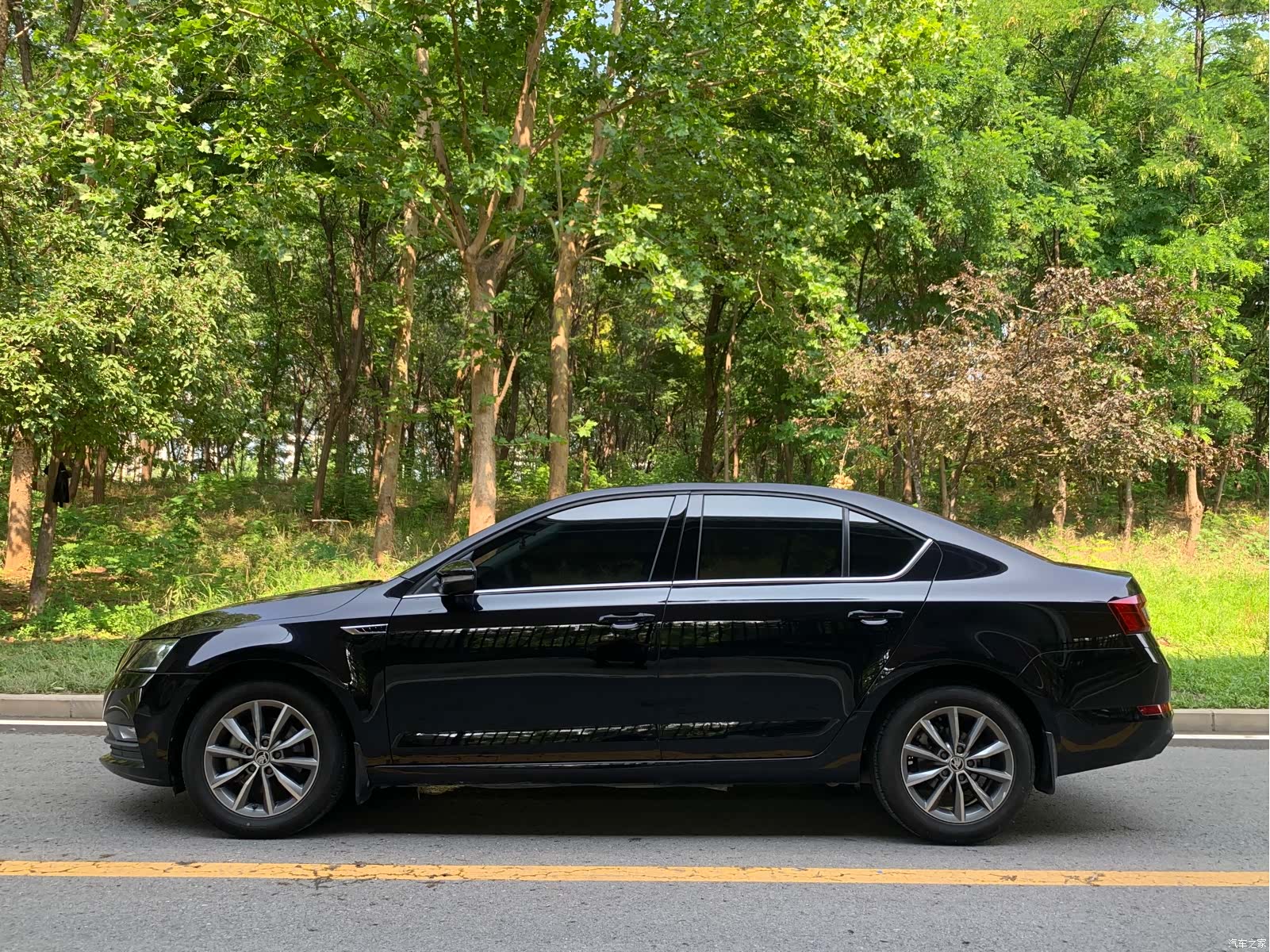 Skoda Octavia, 2018 3