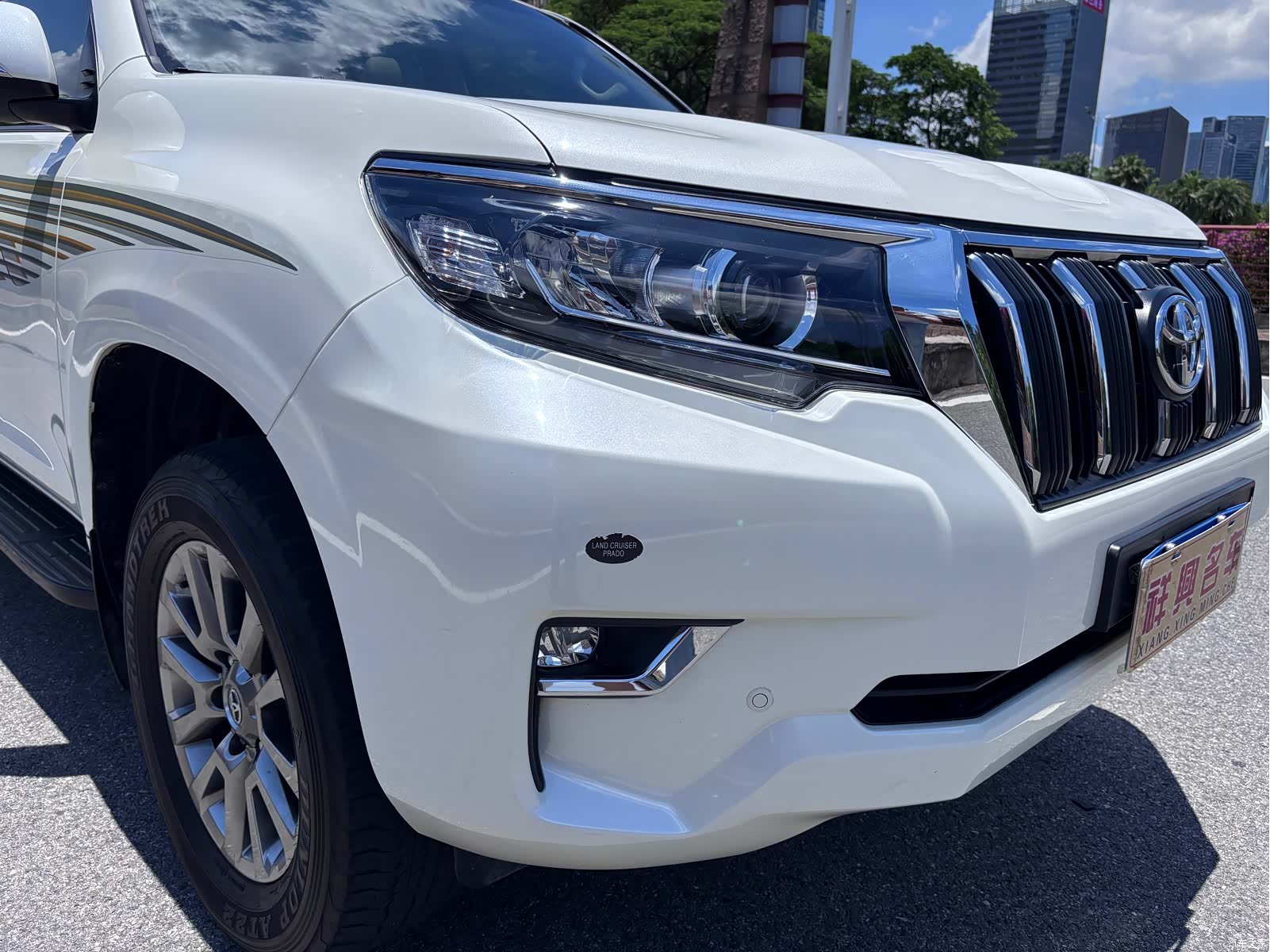 Toyota Prado, 2019 6
