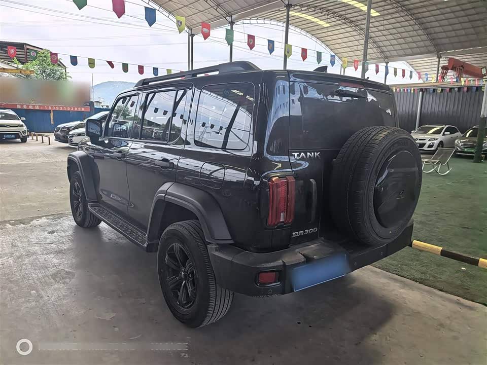 Tank 300 Tank 300
