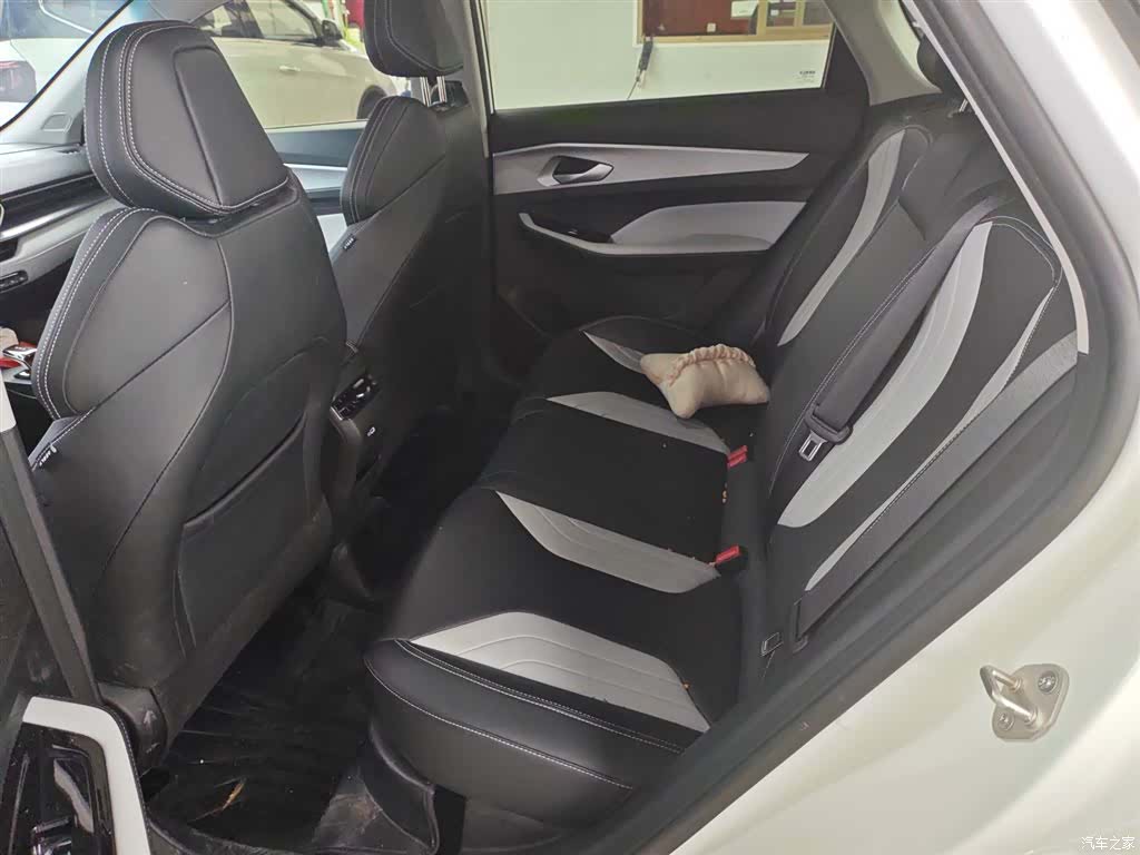 Geely Binray, 2024 21