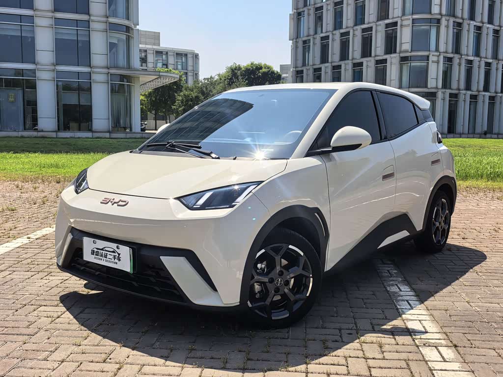 BYD Seagull