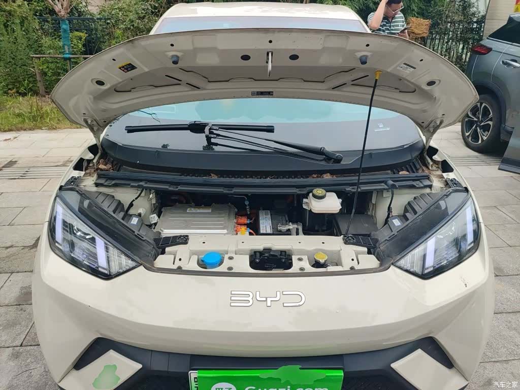 BYD Seagull, 2024 11