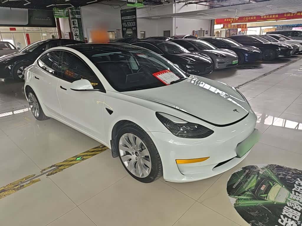 Tesla Model 3, 2021 4